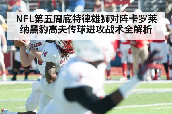 NFL第五周底特律雄狮对阵卡罗莱纳黑豹高夫传球进攻战术全解析 - xingkong