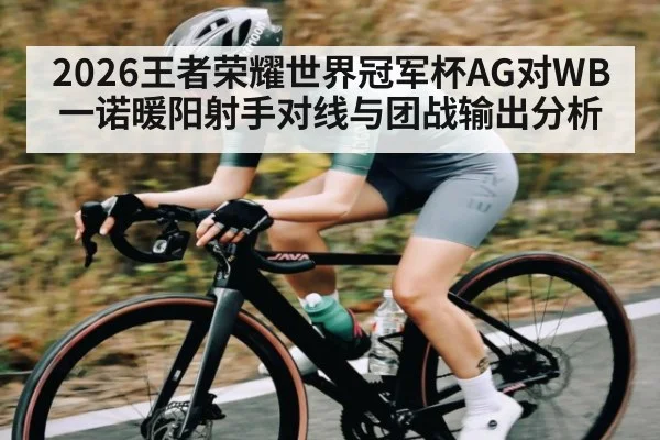 2026王者荣耀世界冠军杯AG对WB一诺暖阳射手对线与团战输出分析 - xingkong